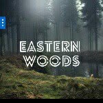 Eastern Woods - @eastern_woods_pack - Instagram