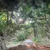 Eastin smith - @eastin.smith1 - TikTok