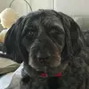 easton - @eastonthegoodboy - TikTok