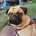 Easton Hutson - Facebook