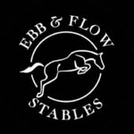 Ebb and Flow Stables , George - @ebbandflowstablesgeorge - Instagram