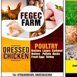 Ebenezer Akande - @fegecfarm - Instagram