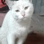 Eber Lenin blanco ibañez - @eberleninblanco - Instagram
