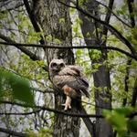 Eberwhite Woods - @eberwhitewoods - Instagram