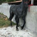 Eberardo Sanchez - @eberardo.sanchez.14 - Instagram