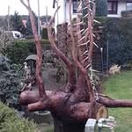 Eberhard Engel - @eberhard.engel2401 - Instagram