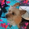 Ebert Martinez - @ebert.martinez - TikTok