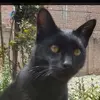 eberthrosalescruz - @eberthrosalescruz - TikTok