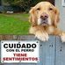 Eberth Salas - Facebook