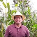 Eberto Hernández - @eberto.hernandez - Instagram