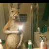 Eberto Perez - @eberto.perez6 - TikTok
