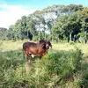 Eberto Rodriguez - @eberto.rodriguez11 - TikTok