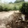 Eberto Sanchez - @eberto.sanchez8 - TikTok
