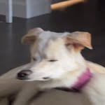 Ebin Smith - @easy.e_smith - Instagram
