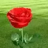 Ebalabdi - @eblaabdi7 - TikTok