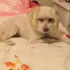 eboni_phillipssss - @eboni_phillipssss - TikTok