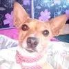 Eboni Young - @eboniyoung4 - TikTok
