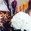 eboniewalker82 - @eboniewalker82 - TikTok