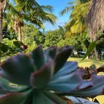 Ebony - @ebonybeachlodge - Instagram