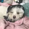 ebonybernard130 - @ebonybernard130 - TikTok