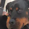 ° E B O N Y ° - @ebony.best - TikTok