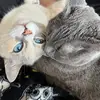EbonyBest - @ebonybestkokvzn - TikTok