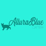 Ebony Blackman - @allurabluecattery - Instagram