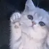 EbonyBlevins - @ebonyblevinsfwwyht - TikTok