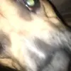 ebonycalloway - @ebonycalloway6 - TikTok