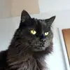 Ebonycarle - @ebonycarle - TikTok