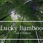 Ebony Carlisle - @luckybamboollc - Instagram