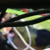 ebonycobb2003 - @ebonycobb2003 - TikTok