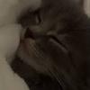 ebony!! - @ebony_wcue - TikTok