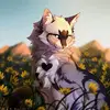 Urdailymeme2 - @ebonywcue2_shadow - TikTok