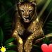 Ebony Diamond - Facebook