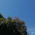 a second photography account - @ebony_dobson_photography_2 - Instagram