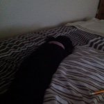 Ebony Rose Egan - @ebony_rose_the_puppie - Instagram