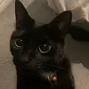 Ebony - @ebony_westers - TikTok