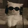 Zehra - @ebony._fiddle - TikTok