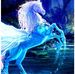 Ebony Flint - Facebook