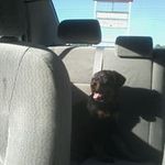 Ebony Gray - @wmonkey30 - Instagram