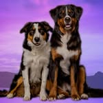 Ebony & Grayson 💜🩵 - @whenebby_metgrayson - Instagram