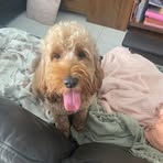 Ebony Crealy - Facebook