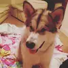 ebonyhancock - @rainbowgirl123lol - TikTok