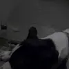 ebonyheath529 - @ebonyheath529 - TikTok