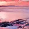 Ebony Holmes - @tryguesswhoiam - TikTok