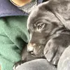 Ebony - @ebonyhowes - TikTok