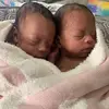 ebb - @ebonyingram._ - TikTok