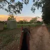 ⚡️EbOnY⚡️ - @ebony..ingram - TikTok