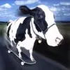 Lamb - @ebonylamblamb - TikTok